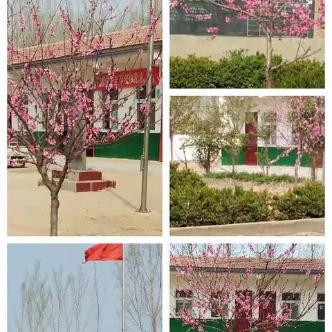 疫情防控演练 护航平安开学                        韩家小学复学开展新冠肺炎防控演练