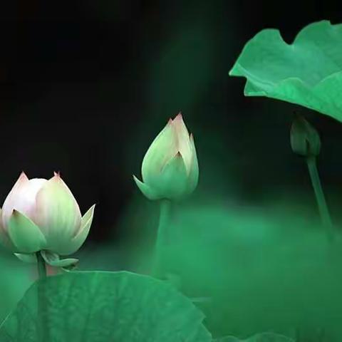 你好，六月！