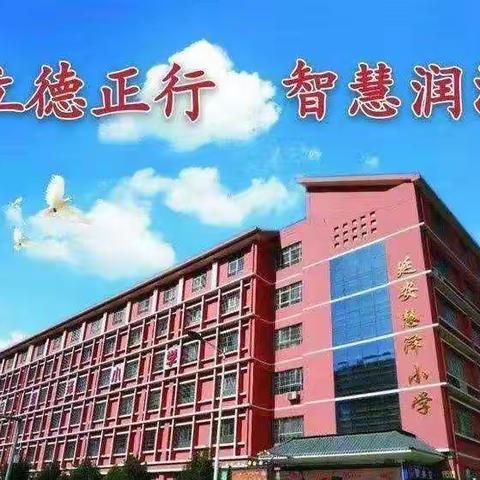 喜迎二十大 践行新课标---宝塔区慧泽小学在行动