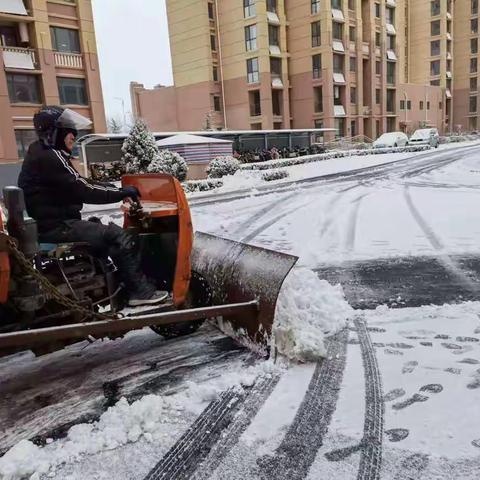 闻雪而动 一一恒邦物业清雪保通畅