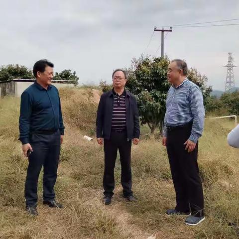 省知识产权局局长肖超一行赴乐东县开展地理标志调研工作