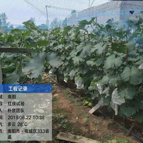 朴欣动态/红侠行动