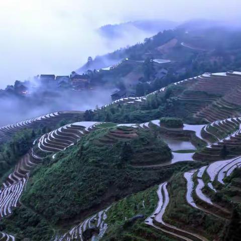 龙脊梯田