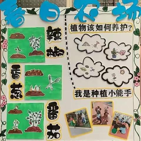 “春日农场”——观音阁中心幼儿园种植系列活动