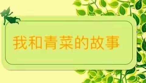 我和青菜🥬的故事——彭水县幼儿园中五班种植区班本课程