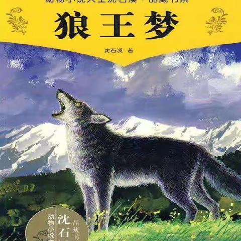 品味书香味道，享受金色童年——迁安市第六实验小学503班《狼王梦》导读课程精彩纪实