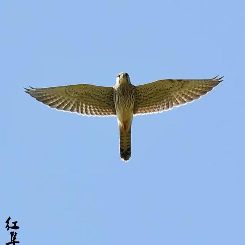 秋之风……一瞬时