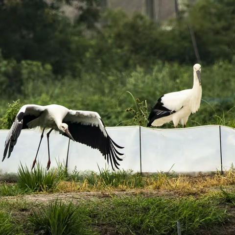 幸  福  一  家  子