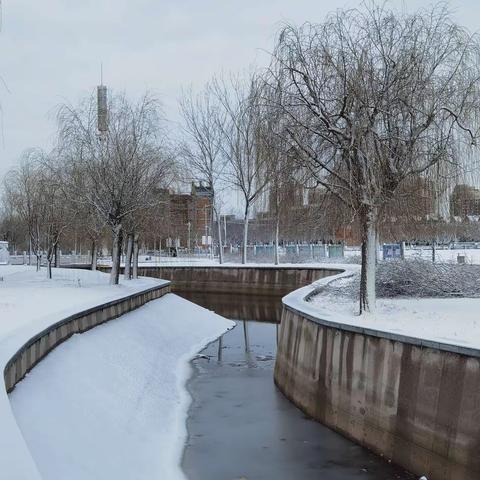 校园雪景