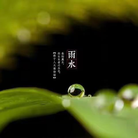 【草木萌动、雨水有约】富丽雅幼儿园雨水节气温馨提示