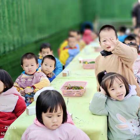 郫都区郫筒启蒙幼儿园小班“颜色蹦蹦跳”主题活动