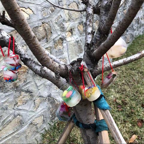 冰花之美 在温暖冬日绽放__泰安市市直机关幼儿园涓涓级部 冰花之美如约而至