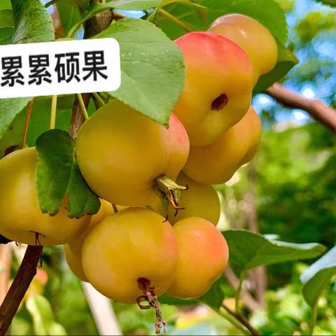 开学季的思考