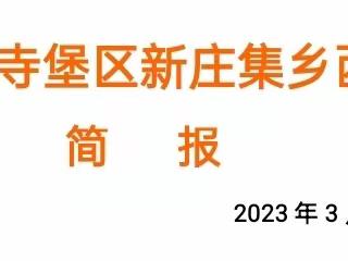 振兴乡村  和美西源，巾帼行