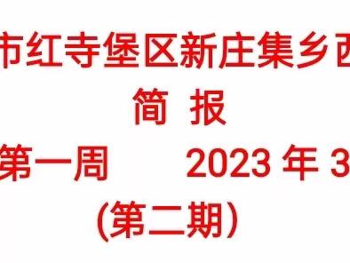 推进乡村振兴重点工作