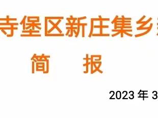 振兴乡村  砥砺前行