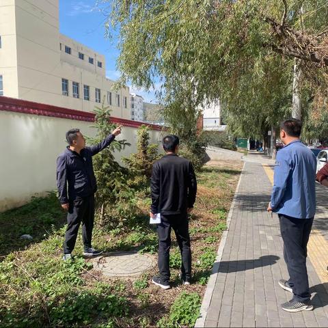 美丽县城规划建设“十大行动”（三）做好绿化养护    美化绿化环境