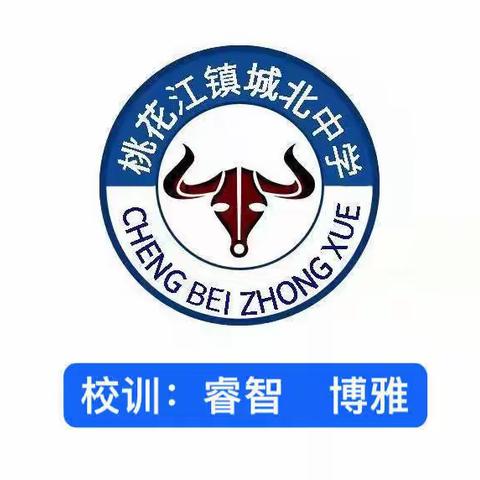 2022年桃花江镇城北中学第二届（夏季）运动会