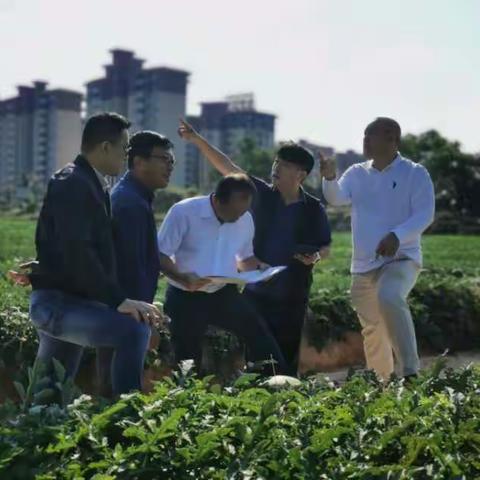 县旅文局调研组开展旅文产业意向项目实地调研