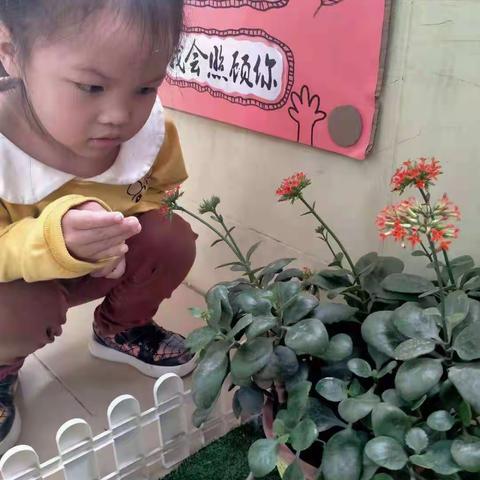 阳春三月，草长莺飞，又迎来了每年3月12日植树的好时节。冬天的寒意还未褪尽，春天就带着绿色的气息向我们走来。