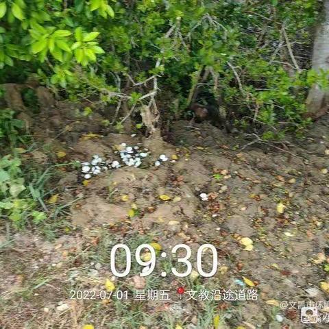 东阁镇针对7月1日市环卫局督导我镇发现问题进行整改