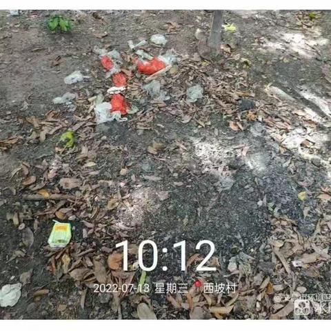 东阁镇针对7月13日市环卫局督导我镇发现问题进行整改