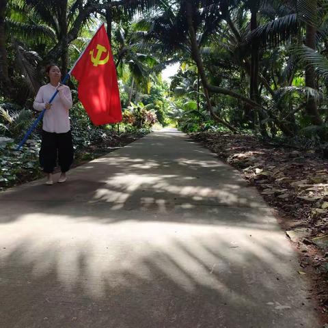 东阁镇农村人居环境整治行动周总结