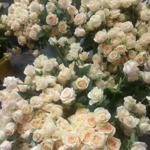 七夕寻缘、爱在玉锦