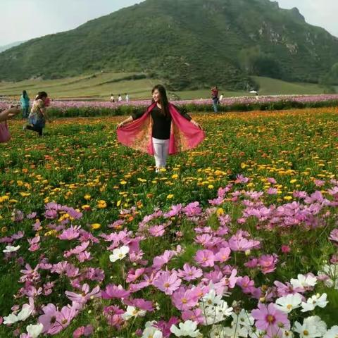 初秋美景 人们向往的格桑花 ―――请到花海来！