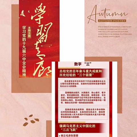 学精神   办实事   谱新篇   ——记金凤一小党支部十一月份主题党日活动