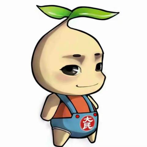 大民种业布局黄淮海