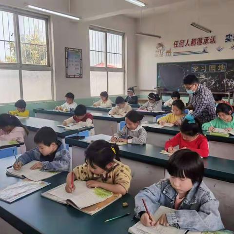 套楼小学硬笔书法比赛