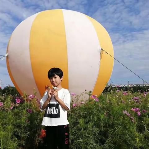 宁静致远的美篇