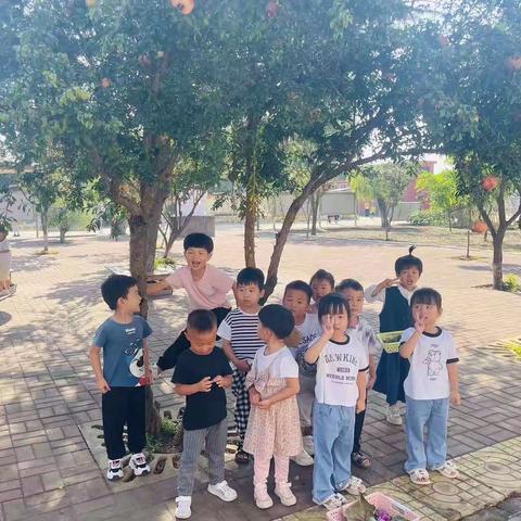 大兴屯小学幼儿园生成课程 叶子的秘密（一）