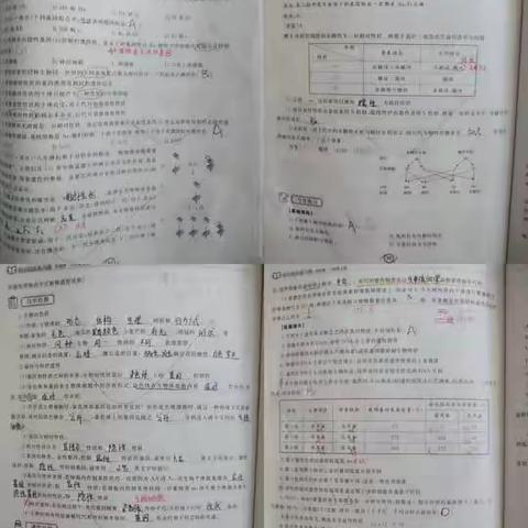 晒晒最美作业,绽放最美自己——优秀作业展