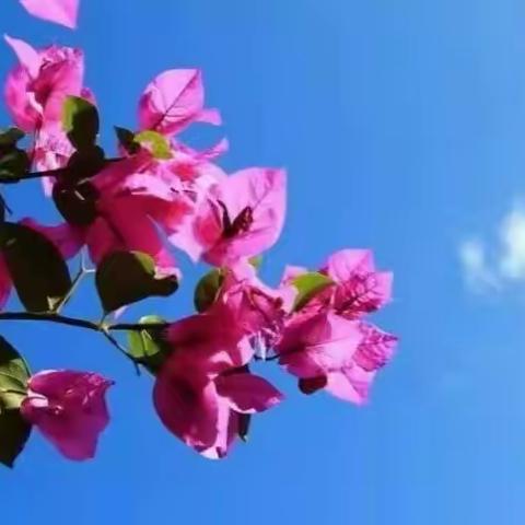 行政办工作周报（第18期）