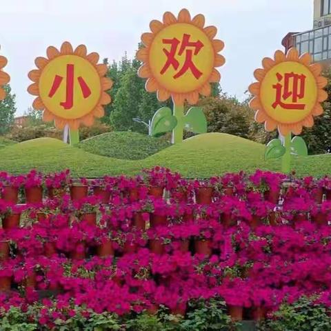 【身怀绝技 各显身手】——方城县第七小学二年级段语文教师大比武赛课活动