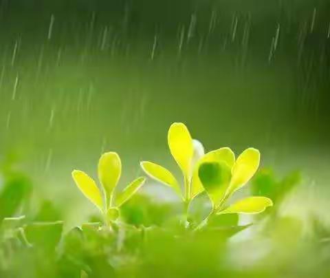 “甘将心血化细雨，润出桃花一片红” 券桥镇闫岗小学网上教学纪实