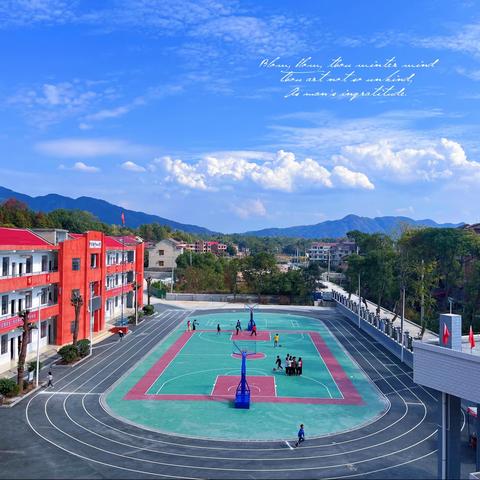 井字镇中心小学第十周工作总结