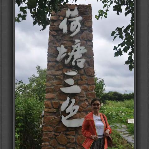 钟山蝉鸣的美篇
