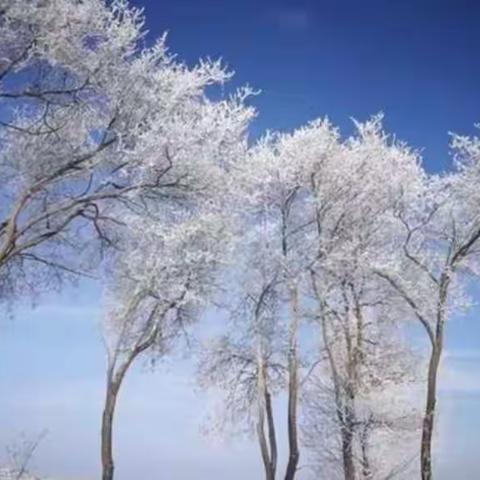 榆中县北山最美的雪景