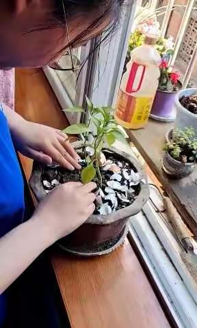 实践篇:我是劳动者