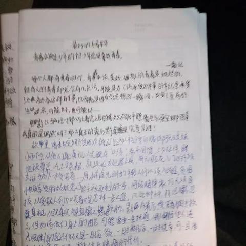 最好的青春年华—小女假期作文