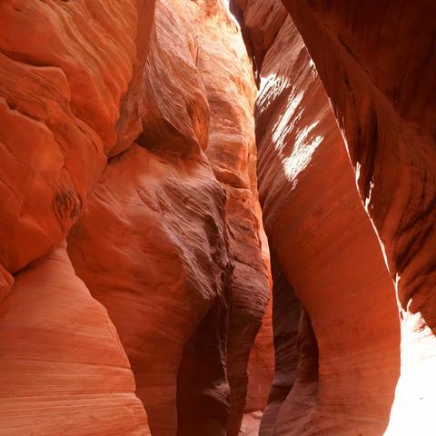 流连忘返Buckskin Gulch (鹿皮谷)