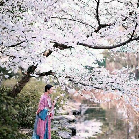 让人心旷神怡的风景画……不要看人，要看里面的风景！