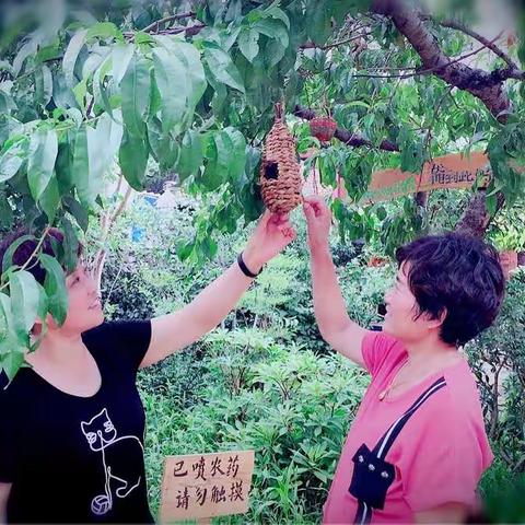 人生有你陪伴—我不孤单