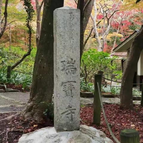 2023-11-18瑞宝寺公园 好古园 姬路城