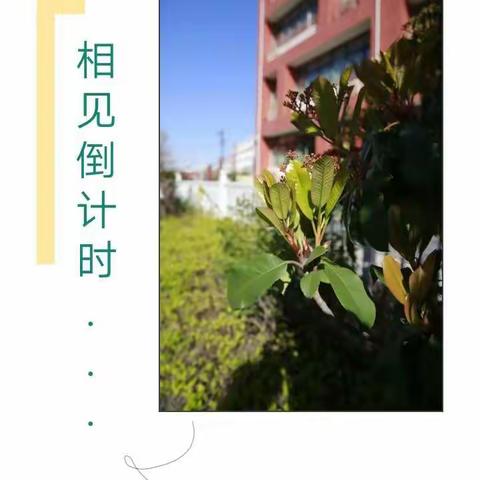 【文化路幼儿园🏫】——🌵相见倒计时，喜迎开学日🌸