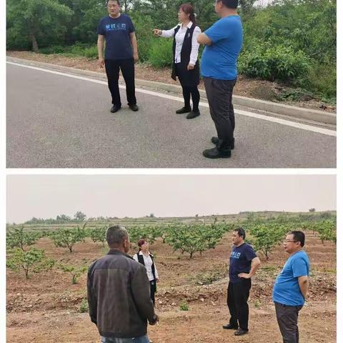 杨各庄镇5月16日工作动态