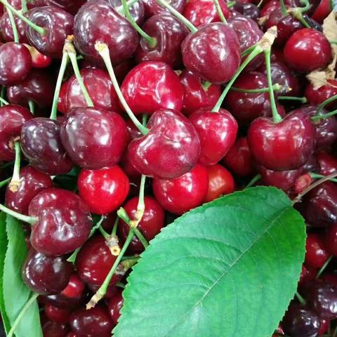 史无前例优惠大酬宾一律10元